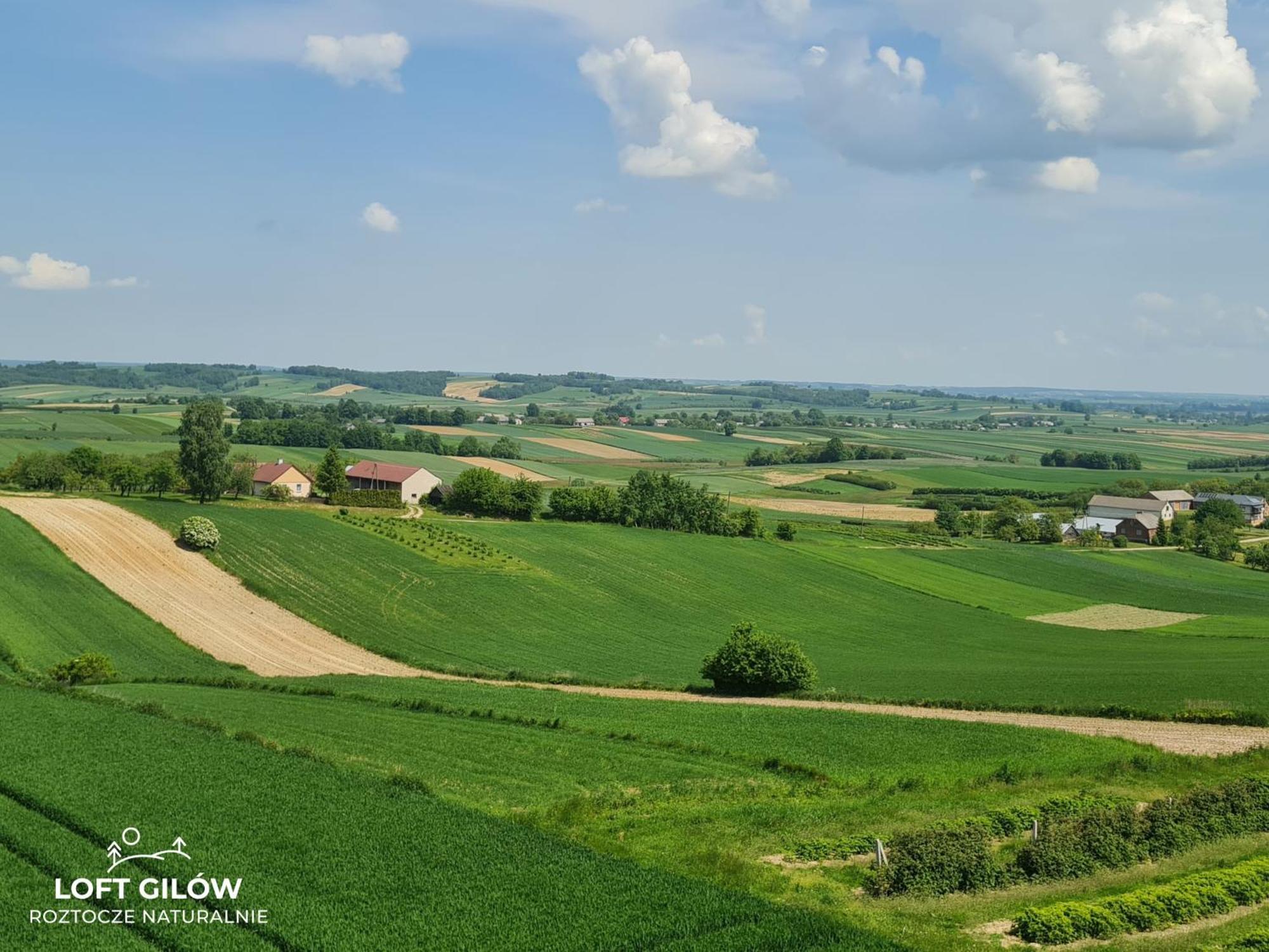 Loft Gilow - Slow Life Siedlisko Exterior photo